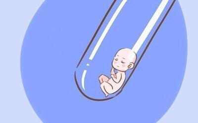 供卵代怀包男孩